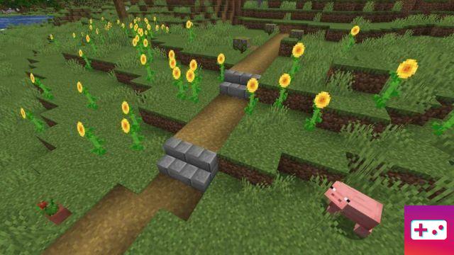 11 ideias e designs de jardins do Minecraft (2022)