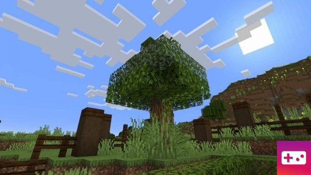 11 ideias e designs de jardins do Minecraft (2022)