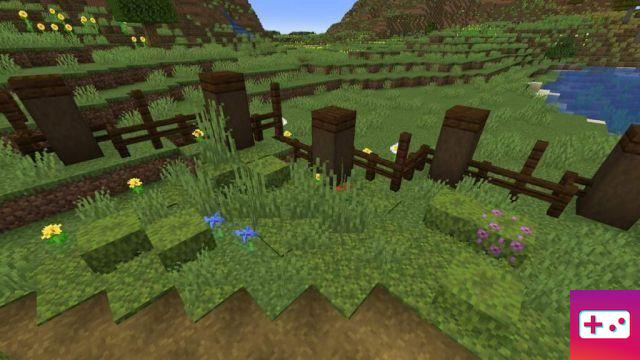 11 ideias e designs de jardins do Minecraft (2022)