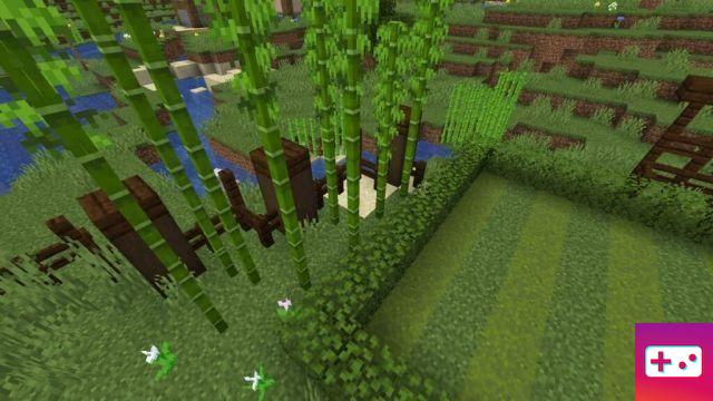 11 ideias e designs de jardins do Minecraft (2022)