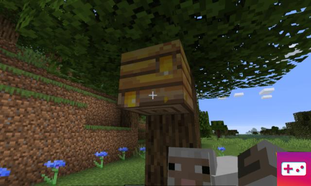 Come ottenere il miele in Minecraft